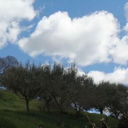 Fenix בית הארחה